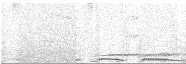 Віялохвіст сірий - ML617428488