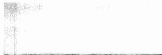 Дятел-смоктун сосновий - ML617429683