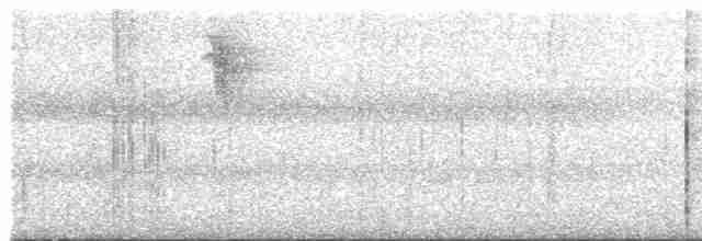 Поплітник білогорлий - ML617430477