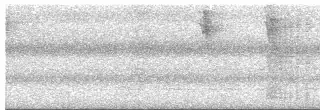 Серощёкая ленивка - ML617431169
