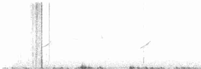 Common Redstart - ML617431586