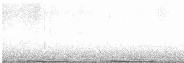 カワラバト（ドバト、家畜型） - ML617431917