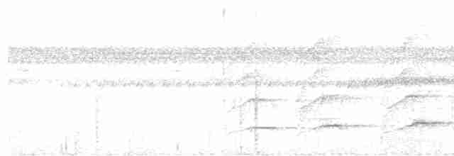 Soluk Karınlı Ardıç - ML617433621