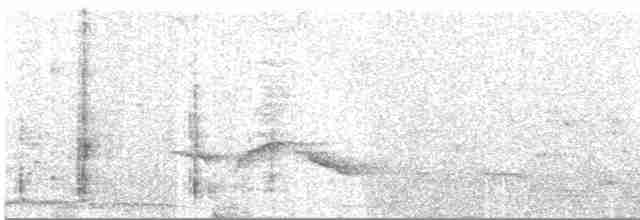 Puff-throated Babbler - ML617433669