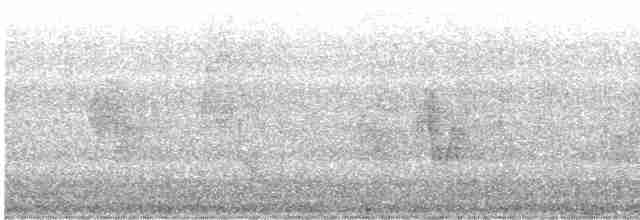 Поплітник плямистий - ML617436445