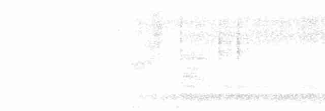 Provencegrasmücke - ML617437439
