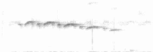 Squamate Antbird - ML617444702