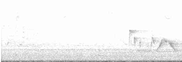 White-eyed Vireo - ML617444760