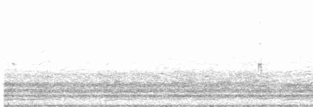 Малая канадская казарка - ML617446115