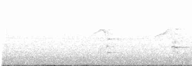Канюк неоарктичний (підвид borealis) - ML617446665