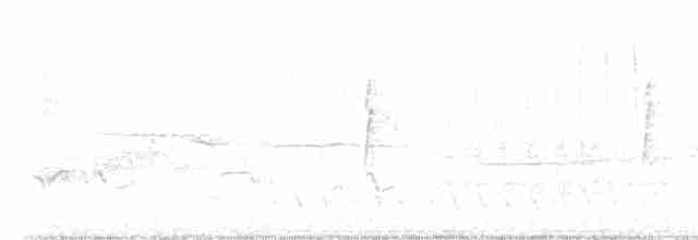 Чернобровая овсянка - ML617447474