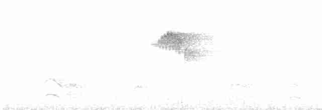 Olivgrau-Ameisenvogel - ML617452396