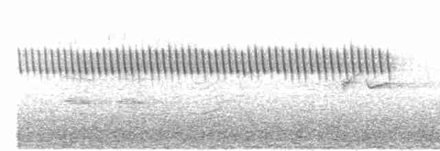 Cırcır Sesli Serçe - ML617453216