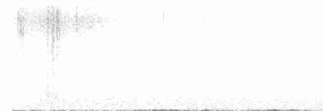 Münzevi Bülbül Ardıcı - ML617454763
