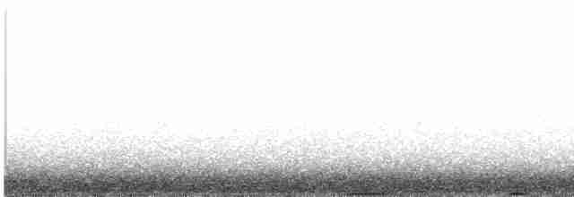 Tétras fuligineux - ML617455919