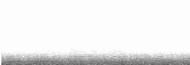 Tétras fuligineux - ML617455920