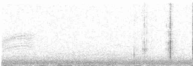 strakapoud bělohlavý - ML617455934