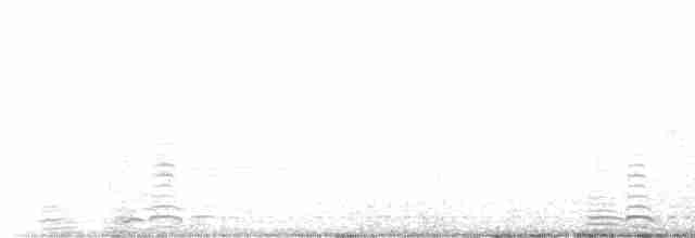 Cisne Trompetero - ML617456908