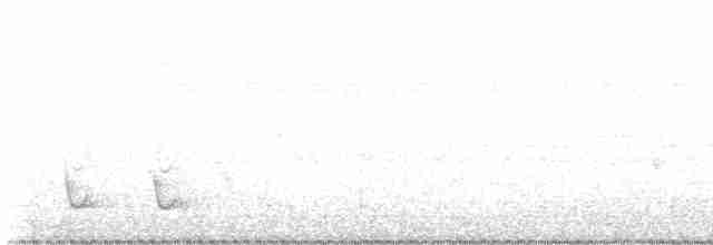 Pin-striped Tit-Babbler (Palawan) - ML617459859