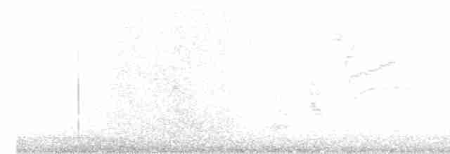 Kara Gözlü Junko [oreganus grubu] - ML617459922