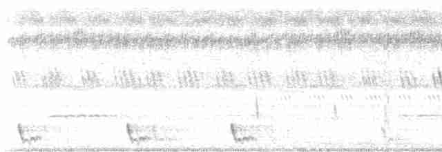 Large-tailed Nightjar - ML617459945