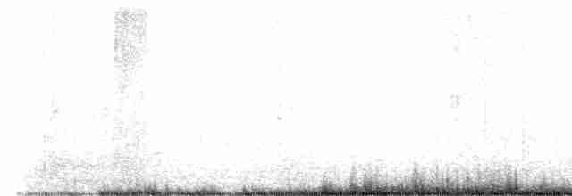 チュウシャクシギ（亜種 アメリカチュウシャクシギ） - ML617461248