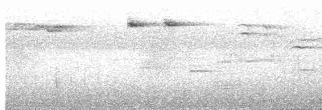 aurorafluesnapper - ML617462652