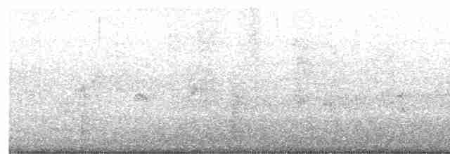 Swinhoe's White-eye - ML617463119