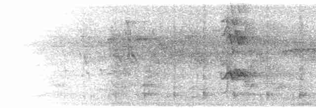 Челноклювый бентеви (pitangua) - ML617463869