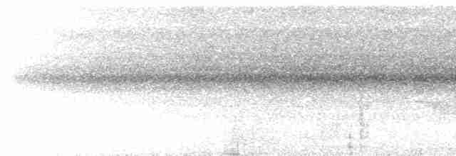 Breithauben-Stirnvogel [angustifrons-Gruppe] - ML617464104