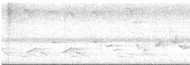 Oriole des vergers - ML617464811