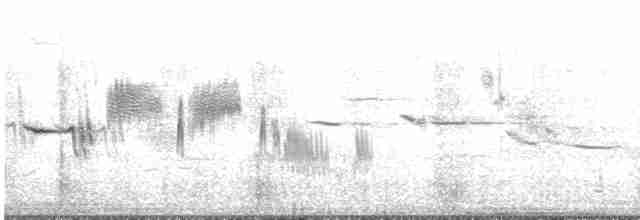 Bruant à couronne blanche (leucophrys/oriantha) - ML617465117