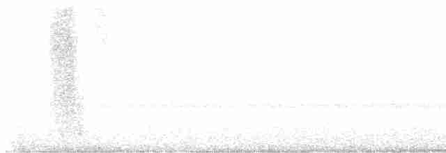 Сова-голконіг австралійська - ML617465263