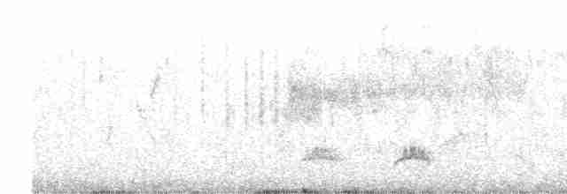 European Bee-eater - ML617465748