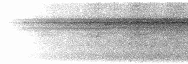Weißkehl-Ameisenschlüpfer - ML617466089