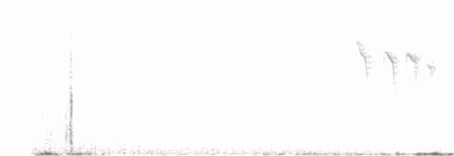 Black-throated Gray Warbler - ML617466107