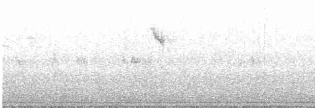 Бурокрылая ржанка - ML617470190