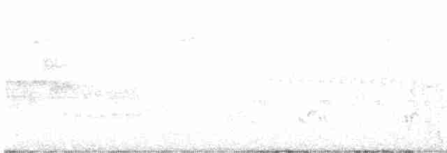Red Crossbill (Western Hemlock or type 3) - ML617470237