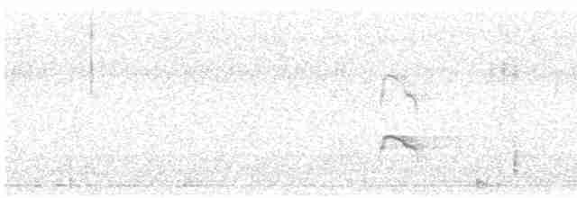 Кулик-сорока (ostralegus/longipes) - ML617470294