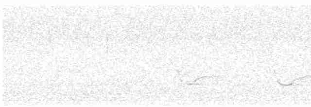 Золотистая ржанка - ML617470298