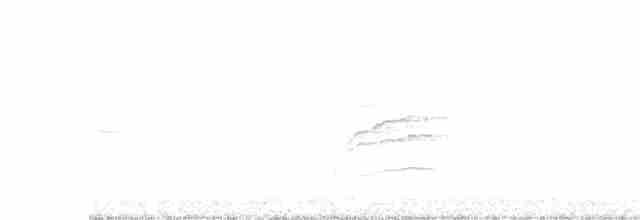 Дрізд-короткодзьоб плямистоволий - ML617470854