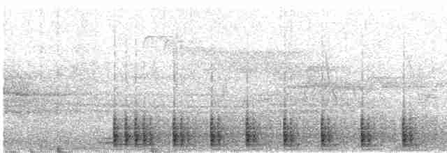 Дятел-смоктун білочеревий - ML617472695