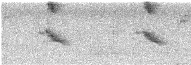 Spotless Starling - ML617473029
