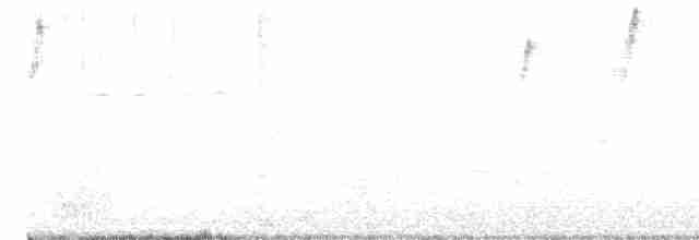 Reinita Protonotaria - ML617473111