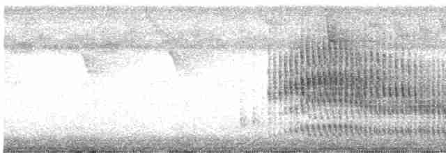 Желтогорлая пищуховая иглохвостка - ML617473582