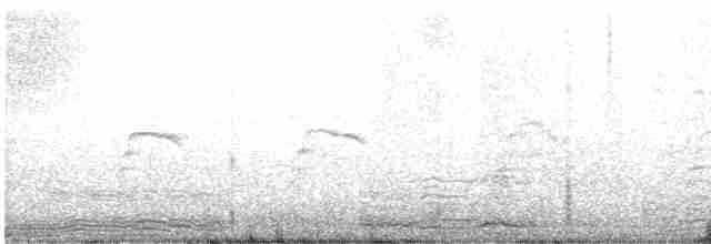 アメリカオオセグロカモメ - ML617473875