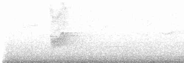 Savannennachtschwalbe - ML617474322