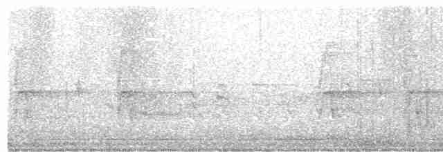 Carouge à épaulettes (groupe phoeniceus) - ML617474584