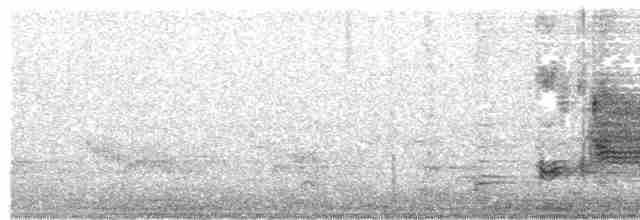 Carouge à épaulettes (groupe phoeniceus) - ML617474612