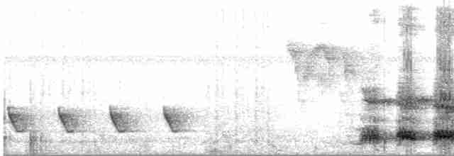 Віялохвіст сірий - ML617474722